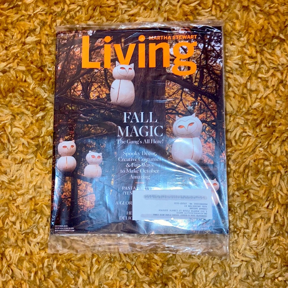 Instyle/living magazine covers 1 of 1’s 3 copies